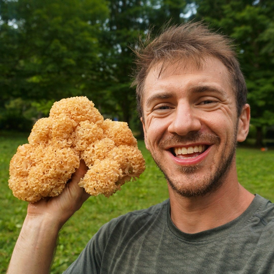 Son of a Bear’s Substack