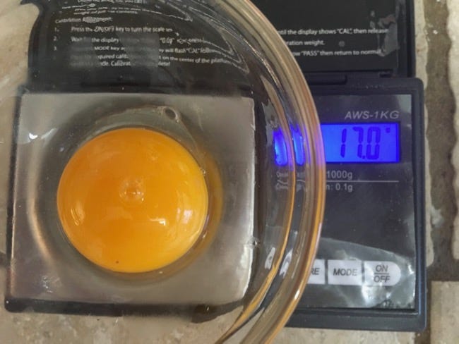 Greg Patent the baking wizard farmers market yolk