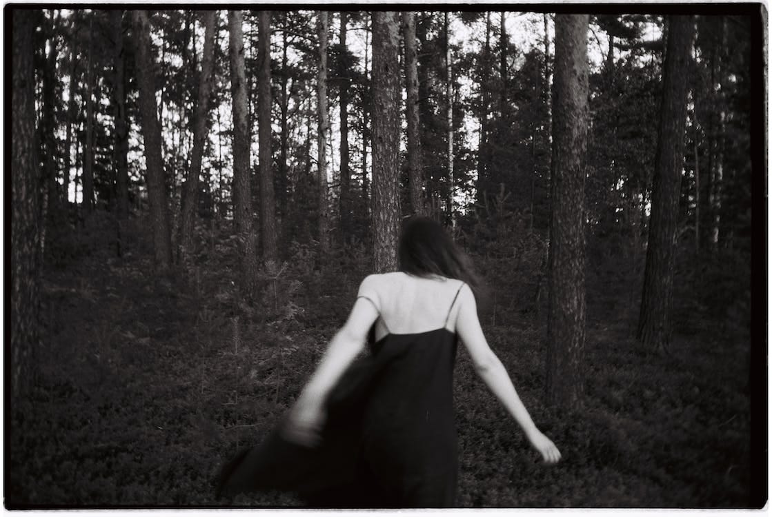 Free stock photo of 35mm, black and white, film photography Stock Photo