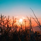 Lessons From Last Month