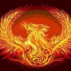 THE PHOENIX PROGRAM NEAR YOU