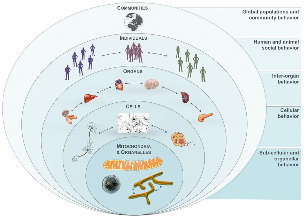 Image of the social nature of mitochondria