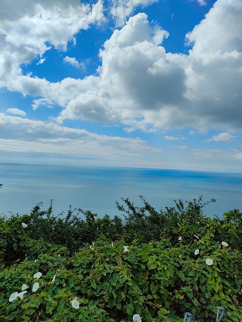 A woodland firepit circle, a view of the ocean from the clifftop with wildflowers in the foreground, a path in the woods, a wooden sign stating 'woodland path' and 'pond', a view of the sunset over a lake surrounded by grassland, a handbuilt hops hut