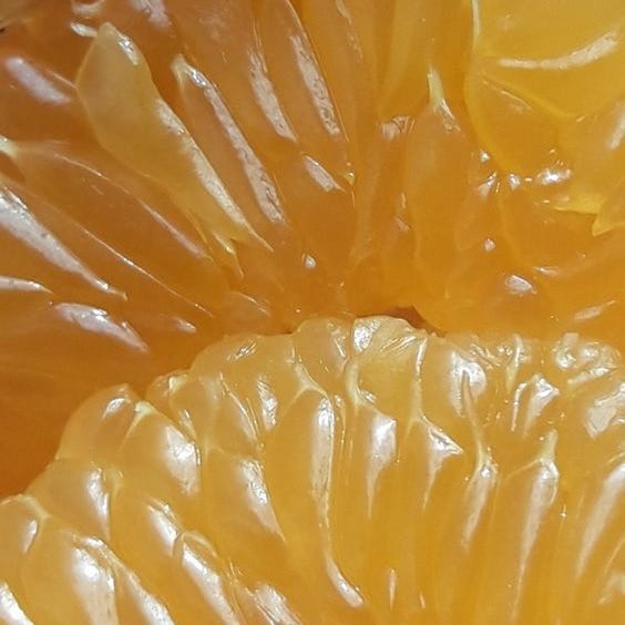 inthiscorneroftheworld