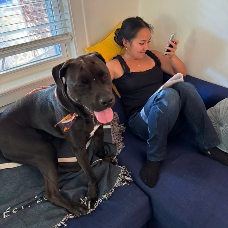 Oki, a large black dog with a white chest, sitting on a navy couch beside our older daughter in his new home. Oki, a large black dog with a white chest, sitting on a navy couch beside our older daughter in his new home.