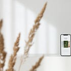 The 4 Best Apps for Mindful Living