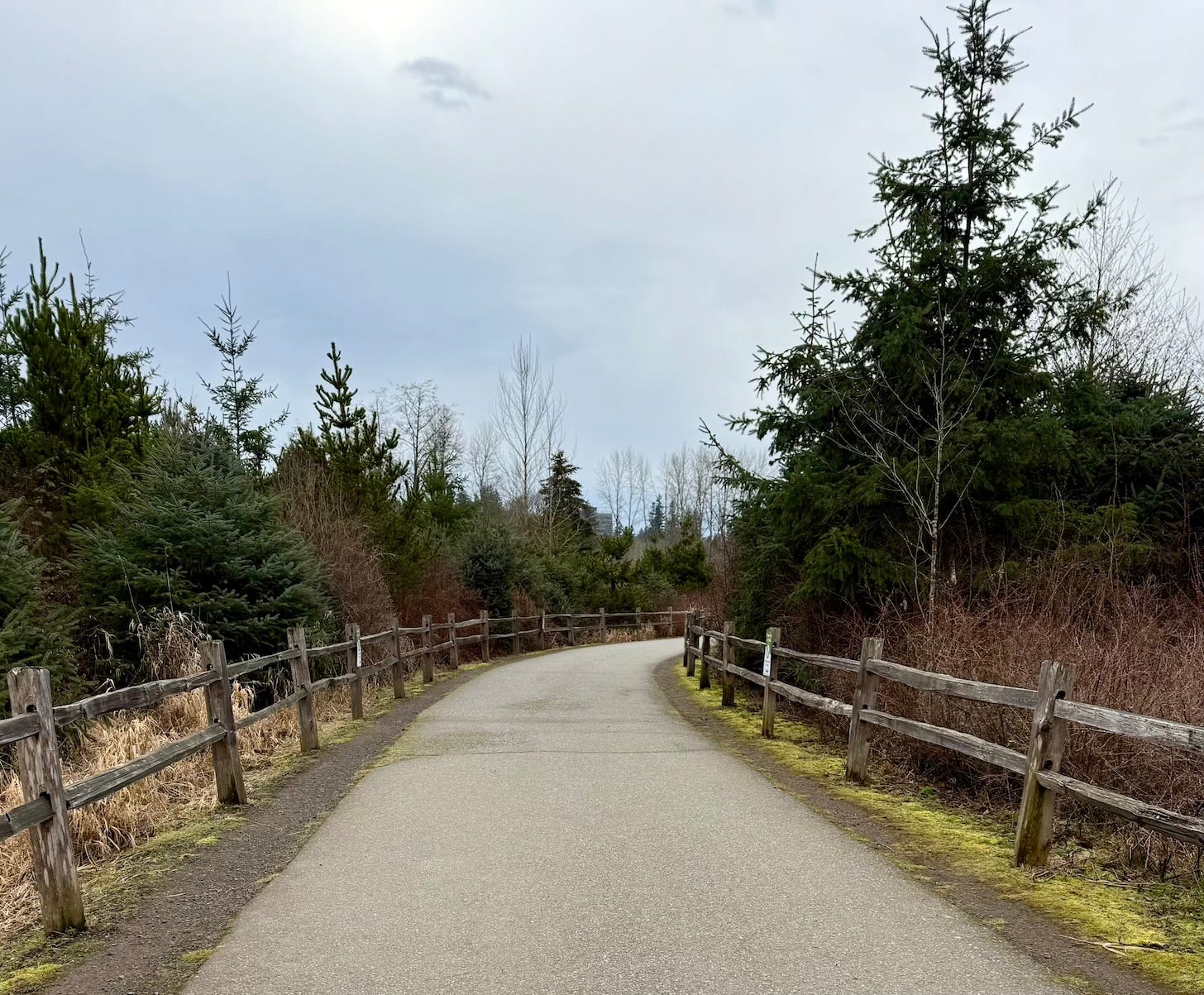 A winding path with wooden fence rails on both sides, cutting through dormant winter brush and evergreen trees under an overcast sky, showing early signs of spring