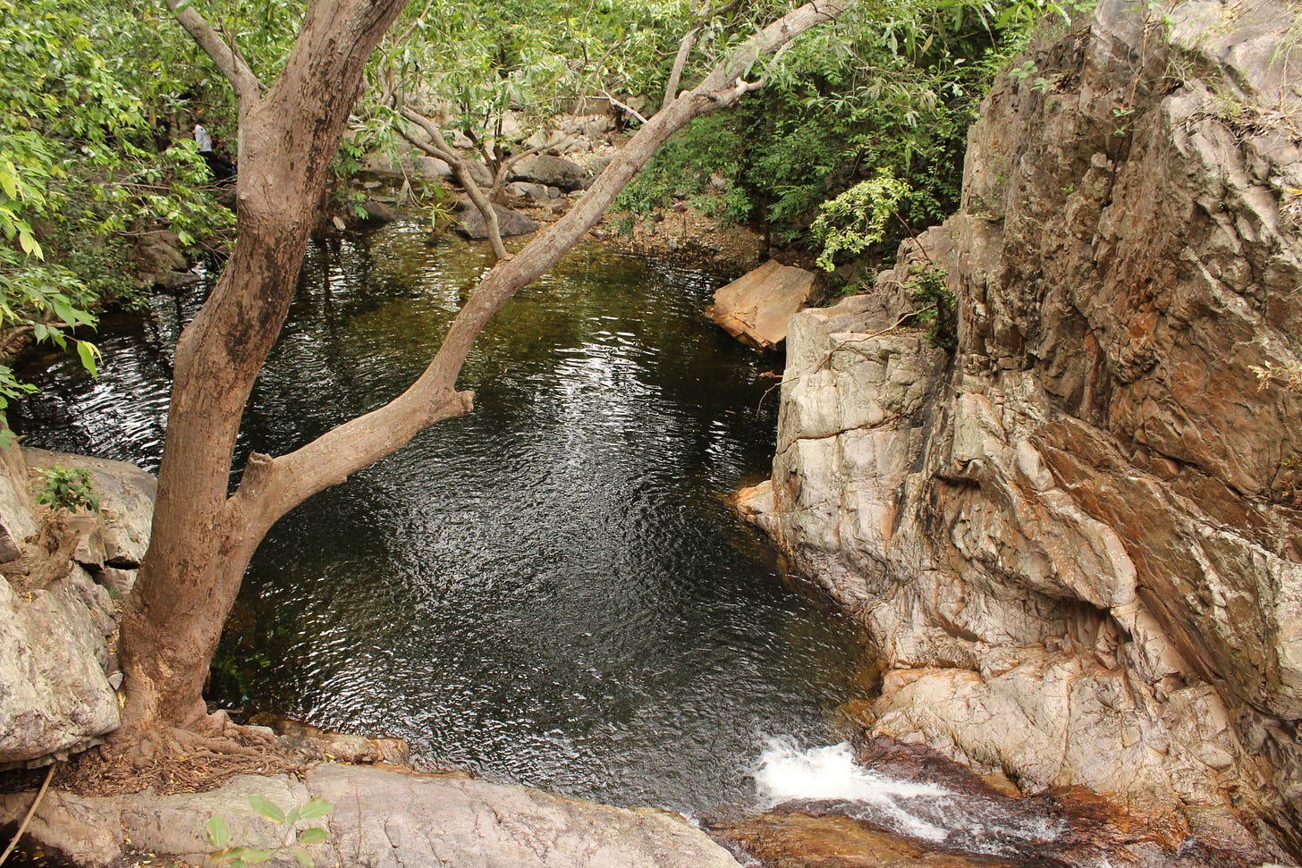 Nagalapuram Forest Trek