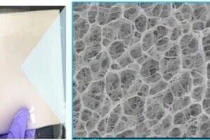 A porous hydrogel inspired by loofah sponges absorbs polluted water at room temperature and then rapidly releases purified water when heated.