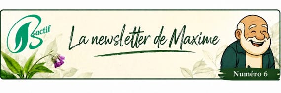 Newsletter jardin, permaculture et soins au nature