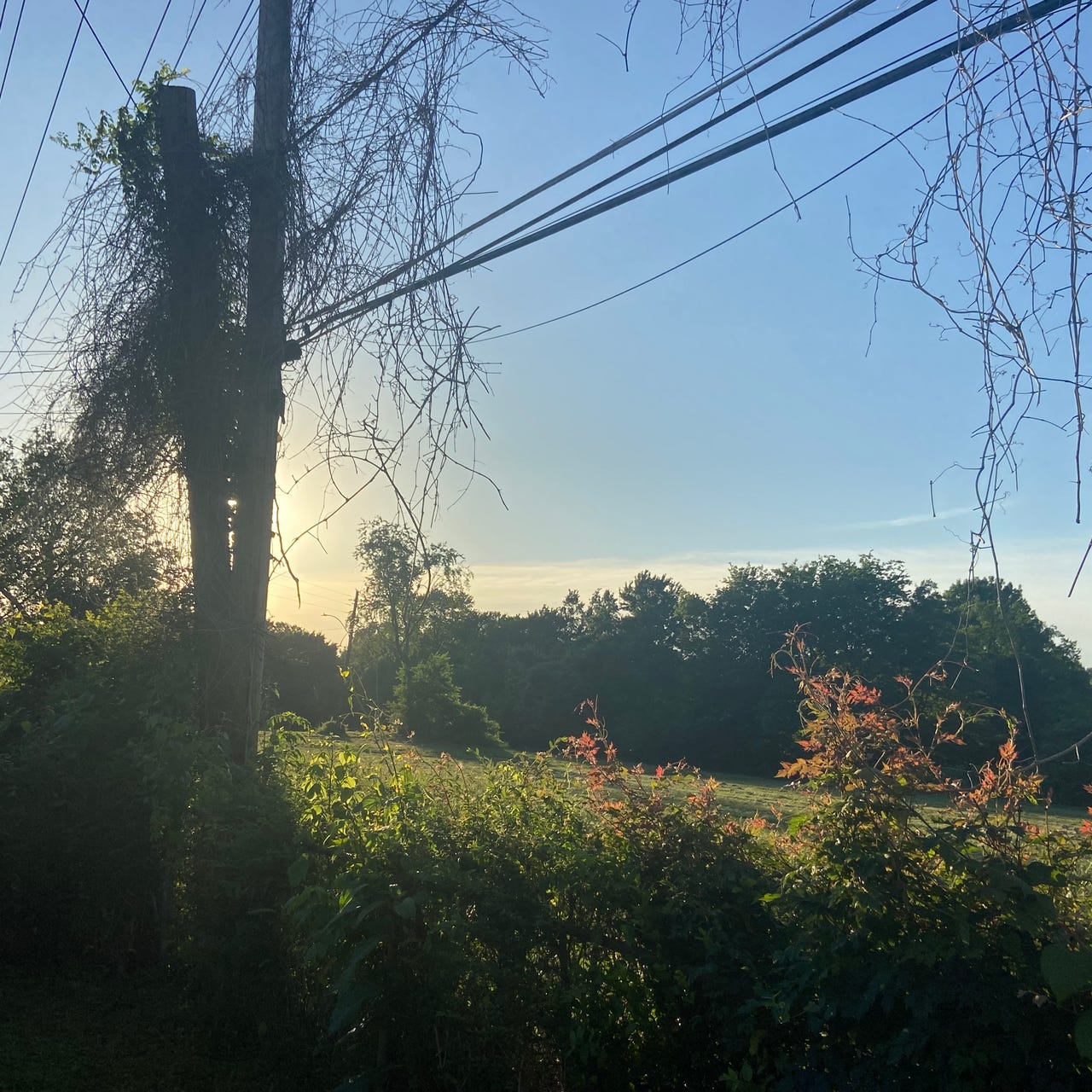 Different Landscapes 