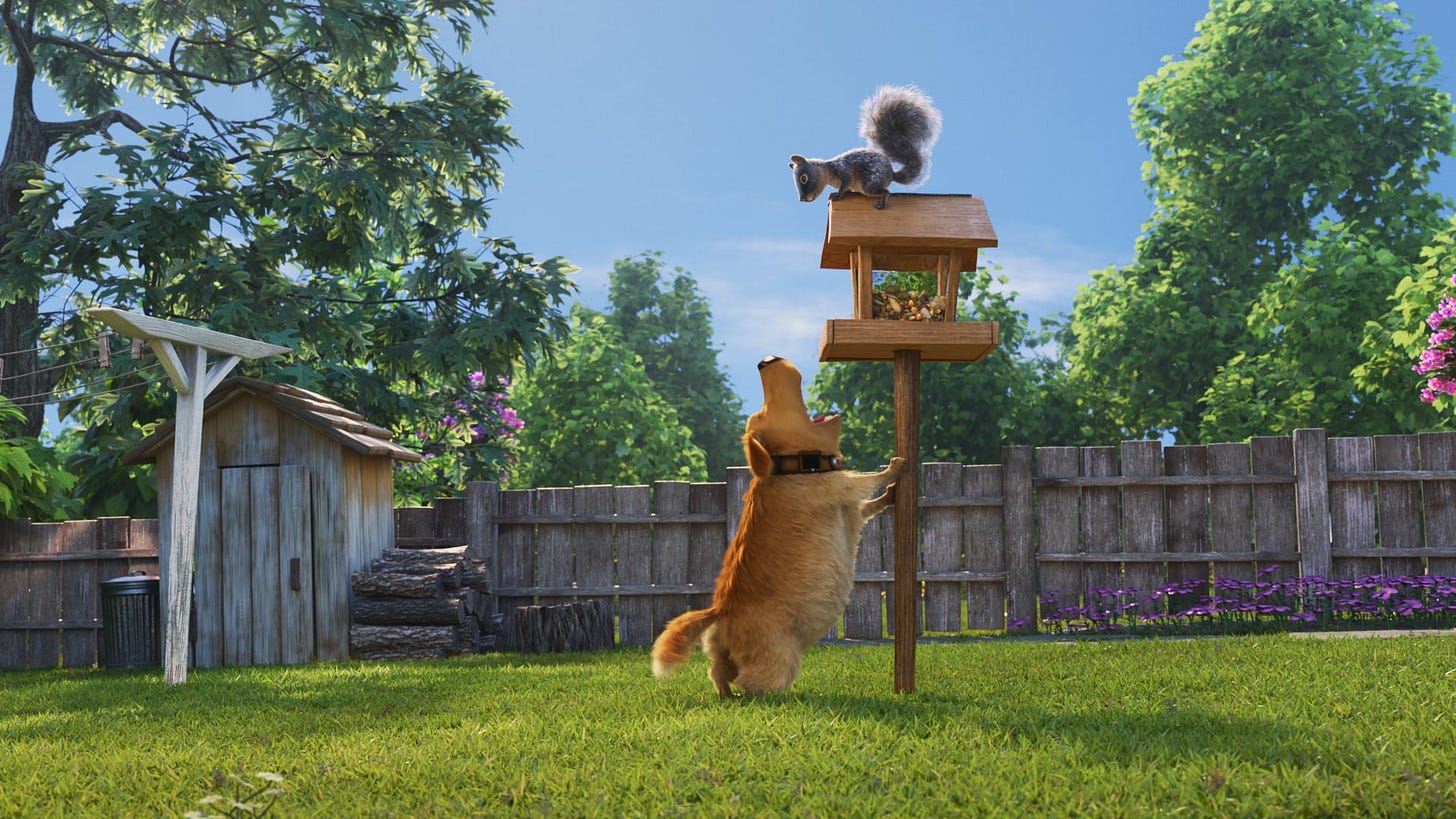 Dug Days kicks off with a "Squirrel!" showdown of sorts
