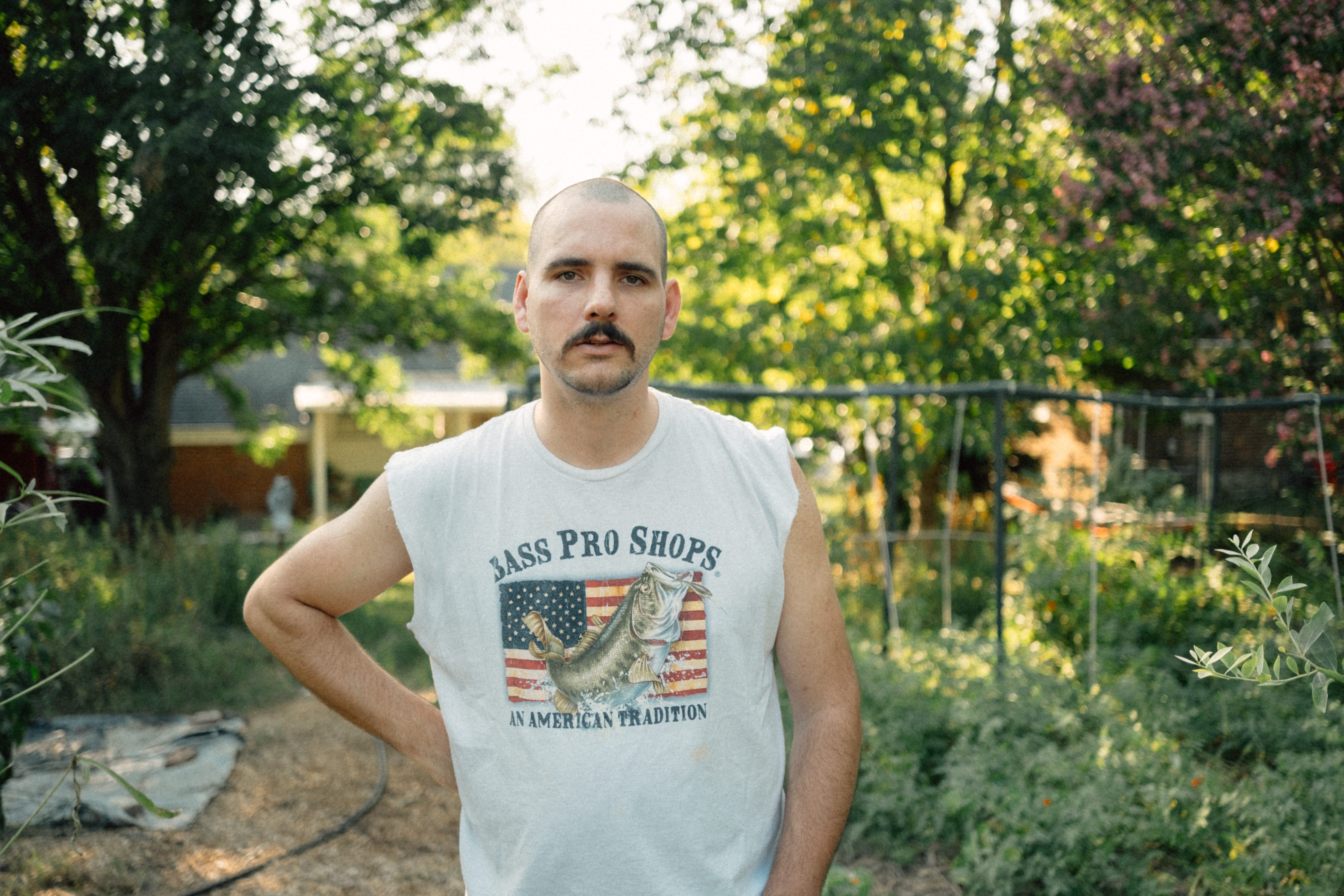 Nathan Evans Fox & Comrades