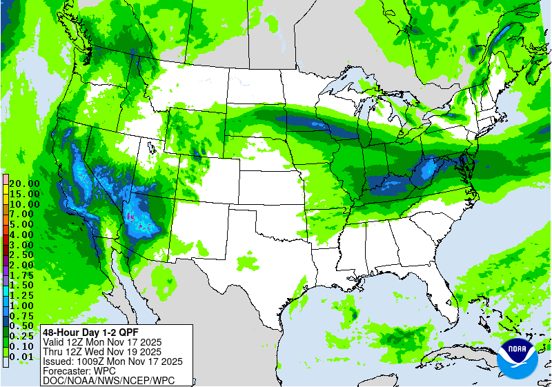 Day 8 image not available