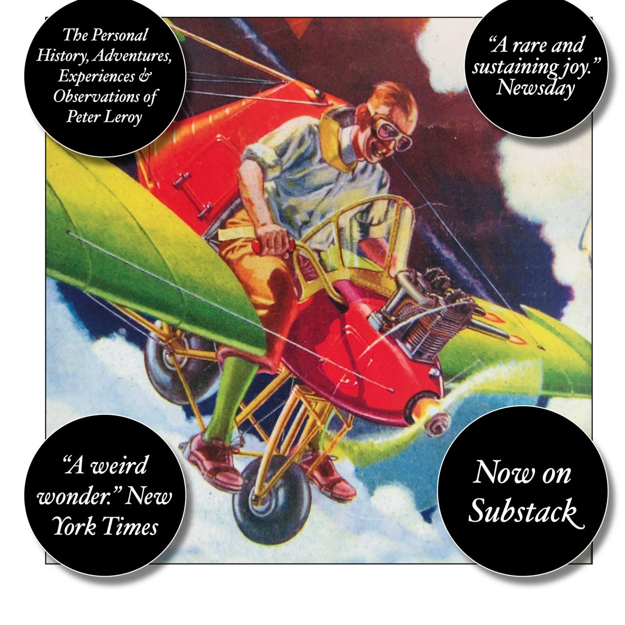 The Personal History, Adventures, Experiences & Observations of Peter Leroy