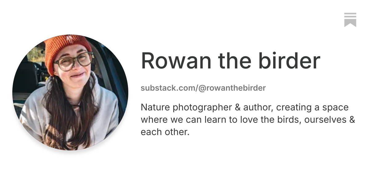 Rowan the birder | Substack