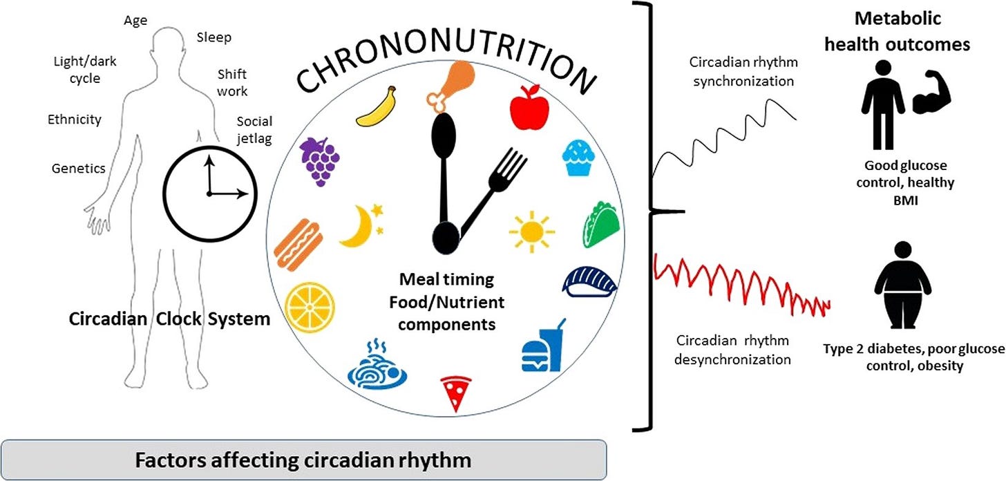 Eat with Your Clock: Harnessing the Benefits of Meal Timing