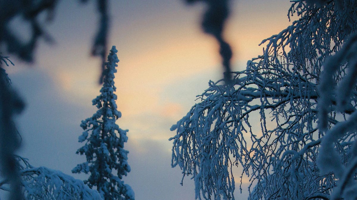 Issue 7: Winter Solstice - Emerald City Ghosts