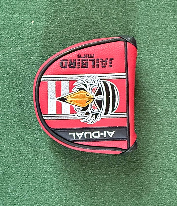 two photos of the jailbird cover