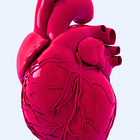 Gates-Funded Study Confirms 27% Higher Risk of Heart Injury in Influenza-Vaccinated Compared to Unvaccinated: 'The Lancet'