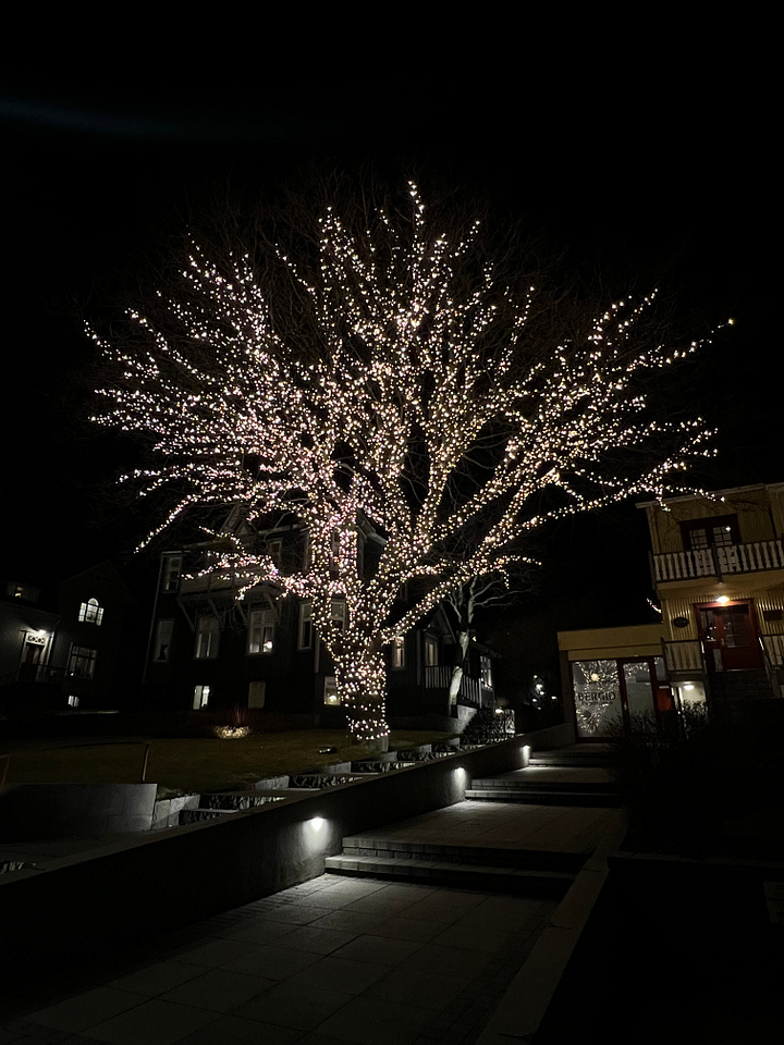 Christmas lights in Reykjavík