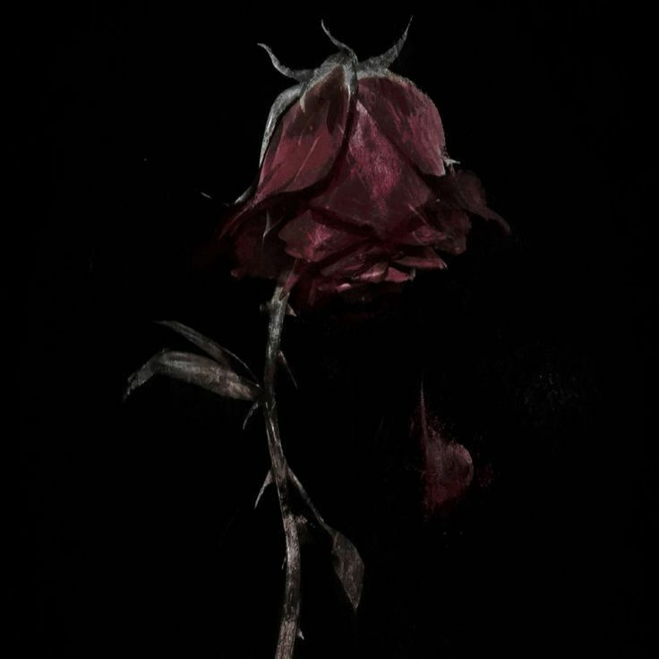 Tales From a Wilted Rose logo