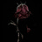 Tales From a Wilted Rose