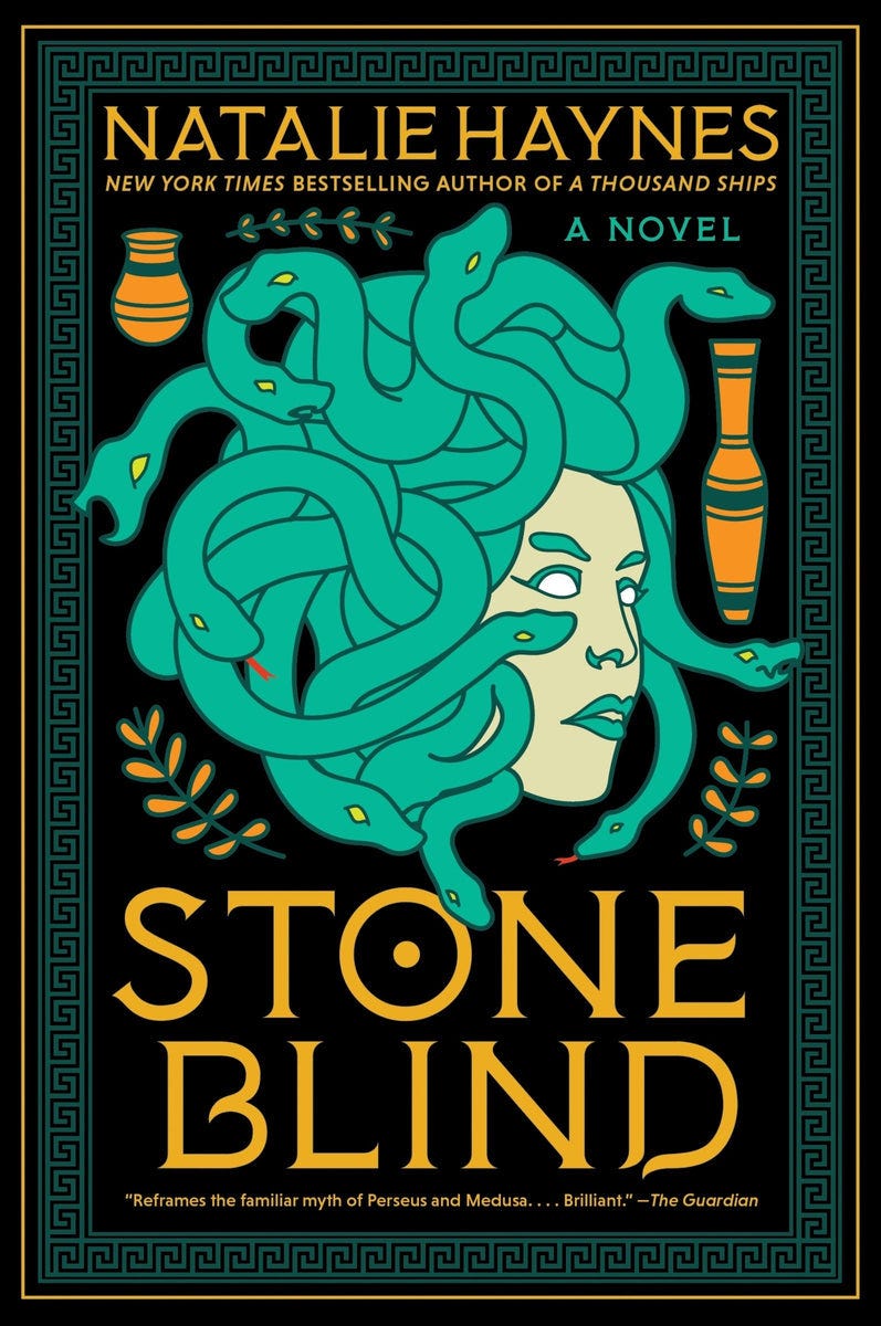 Stone Blind Hardcover Stone Blind Hardcover