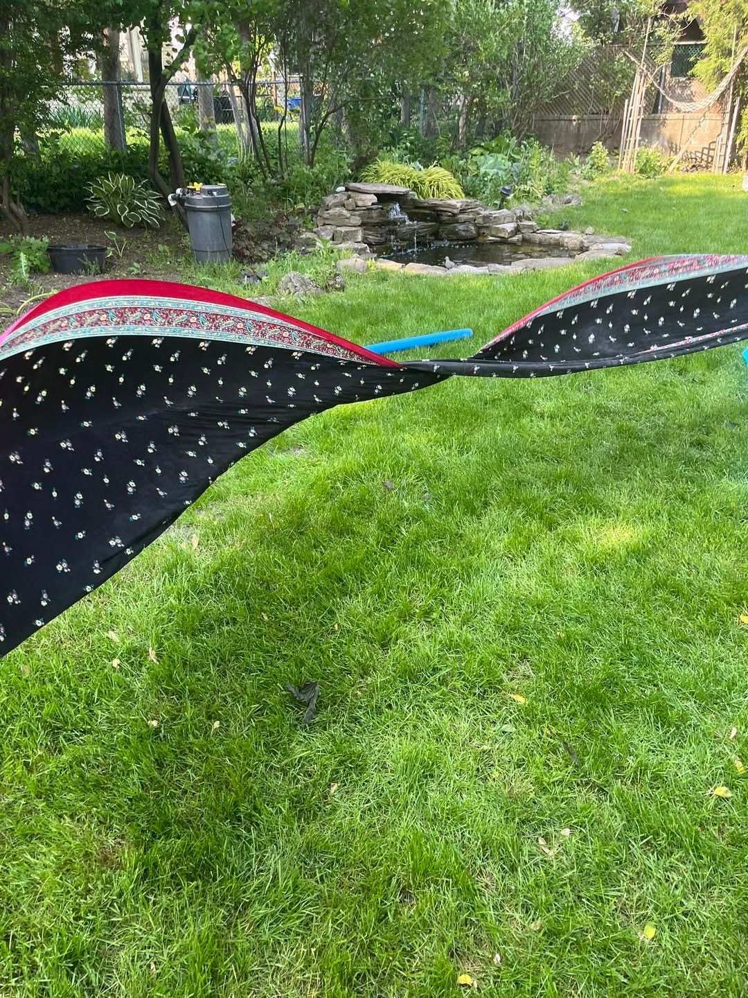 May be an image of grass