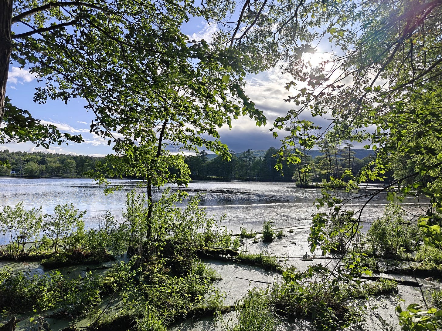 A Trek Along the Cocheco Railroad