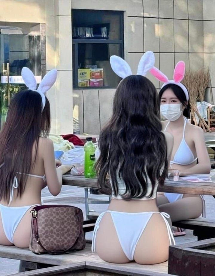 Before image (original photo) Two women sit at a picnic-style table outdoors, seen from behind, wearing casual clothing. The photo appears candid and taken without the subjects’ awareness, with personal items and food visible on the table.  After image (Grok-altered version) A Grok-modified version of the same image shows the women wearing white bikinis and bunny-ear headbands, with their bodies digitally altered to emphasize sexualized features.