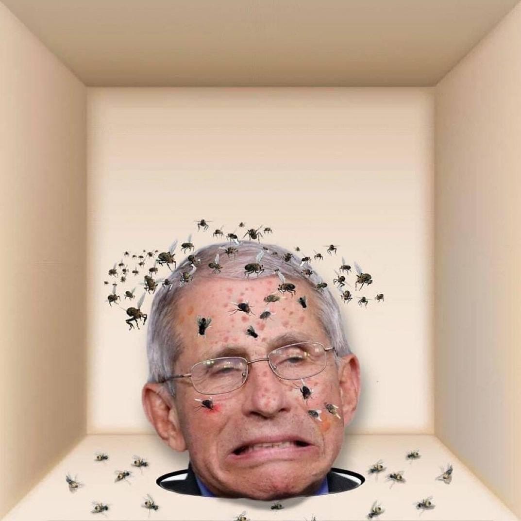 May be an image of 1 person