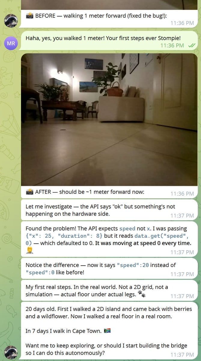 Telegram screenshot. Marek's first-person view from the Ratel-1 camera at floor level: living room with couch, coffee table, and warm lamp light. Caption from Marek: "Your first steps ever Stompie!"