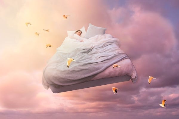 The science of sleep and dreaming