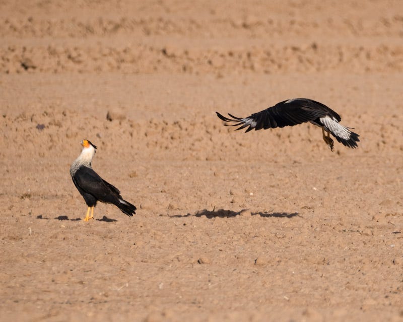 20251204-Manville-163-Edit.jpg 20251204-Manville-163-Edit.jpg