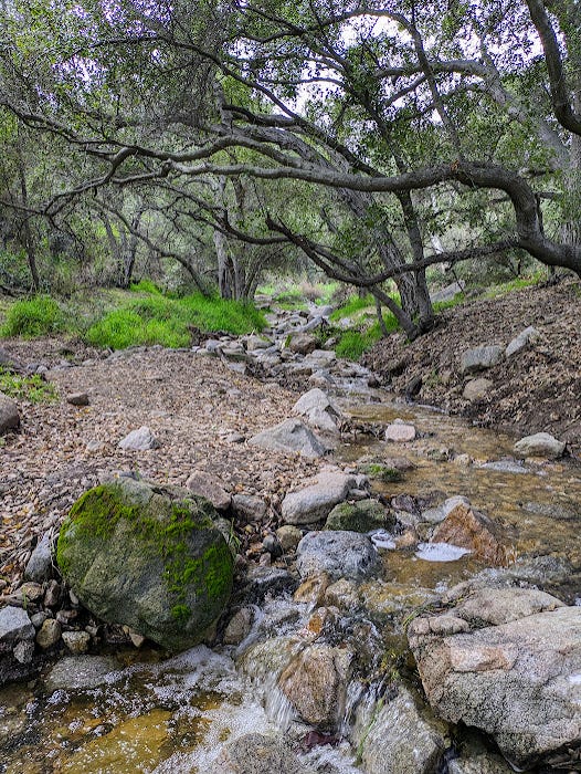 Photos of rocks covered in moss.