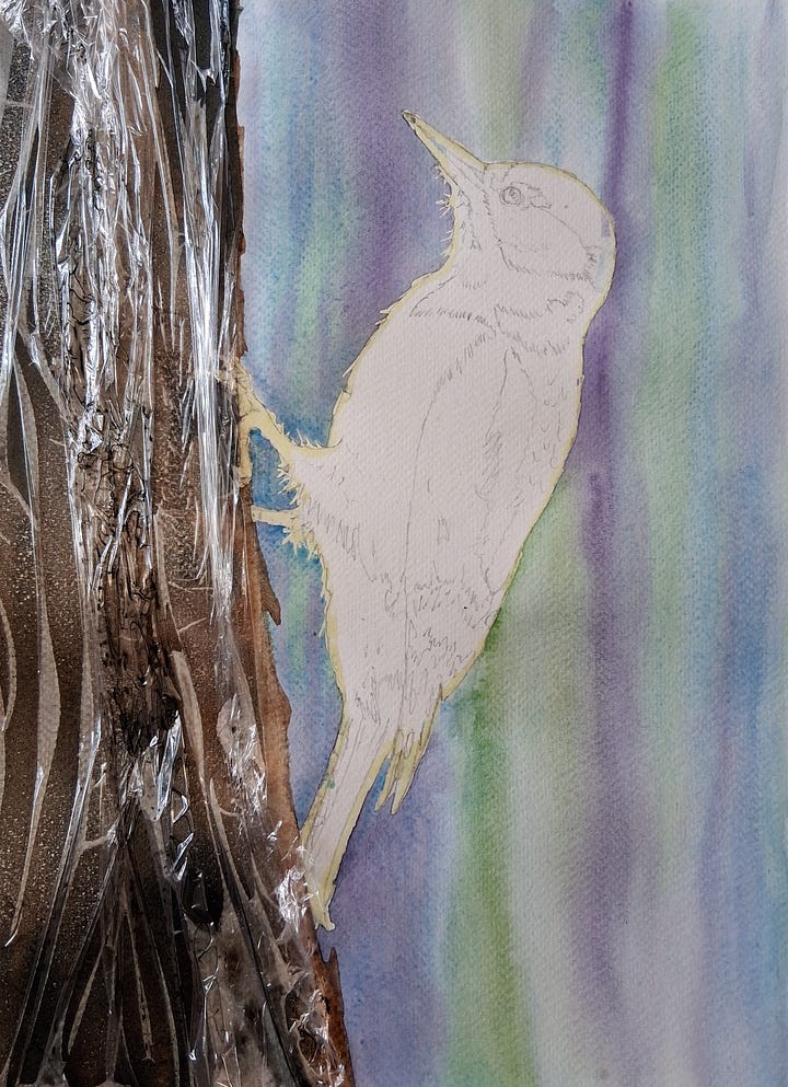 Elizabeth Tomkins - process images