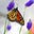 Danaus Plexippus's avatar