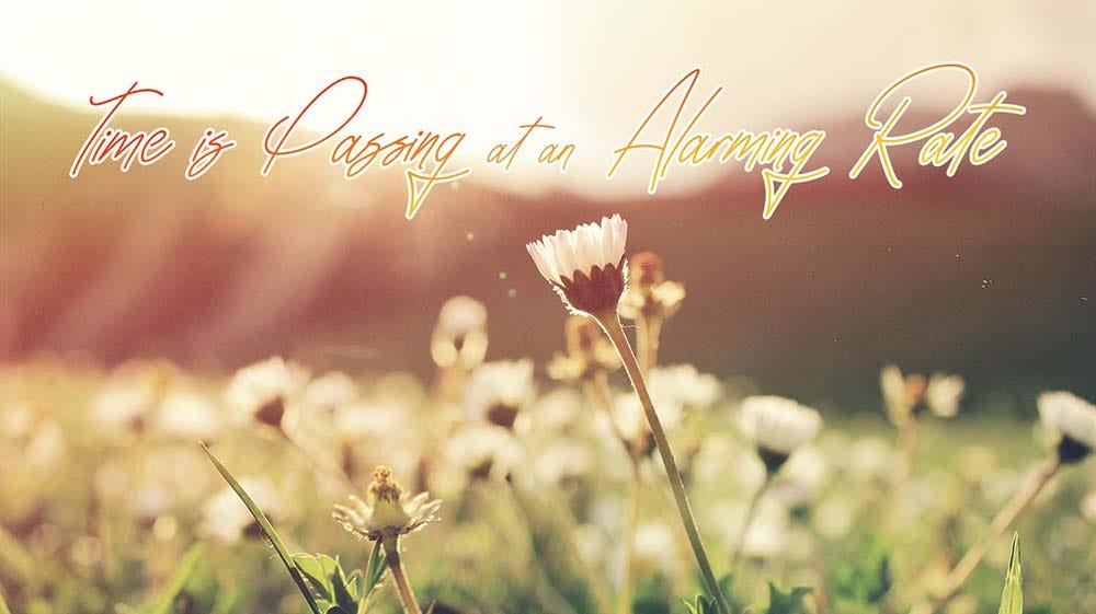 picture of a field of flowers with swirly font reading Time is Passing at an Alarming Rate