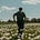 The Practical Past by kobi's avatar