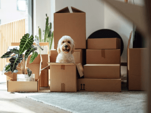 5 Stress-Reducing Tips for Planning Your Long-Distance Move 5 Stress-Reducing Tips for Planning Your Long-Distance Move