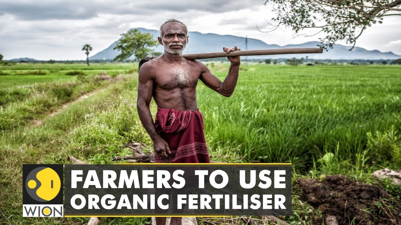 Sri Lankan farmers prepare for harvest season |Latest World English News |  World News |WION