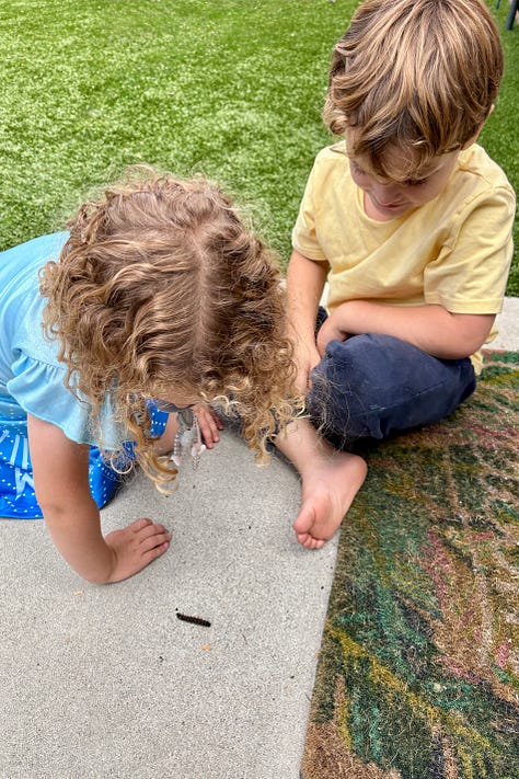 photos of two kids watching a caterpillar crawl, a caterpillar preparing for chrysalis, and cocoons hanging