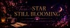 Star In Bloom