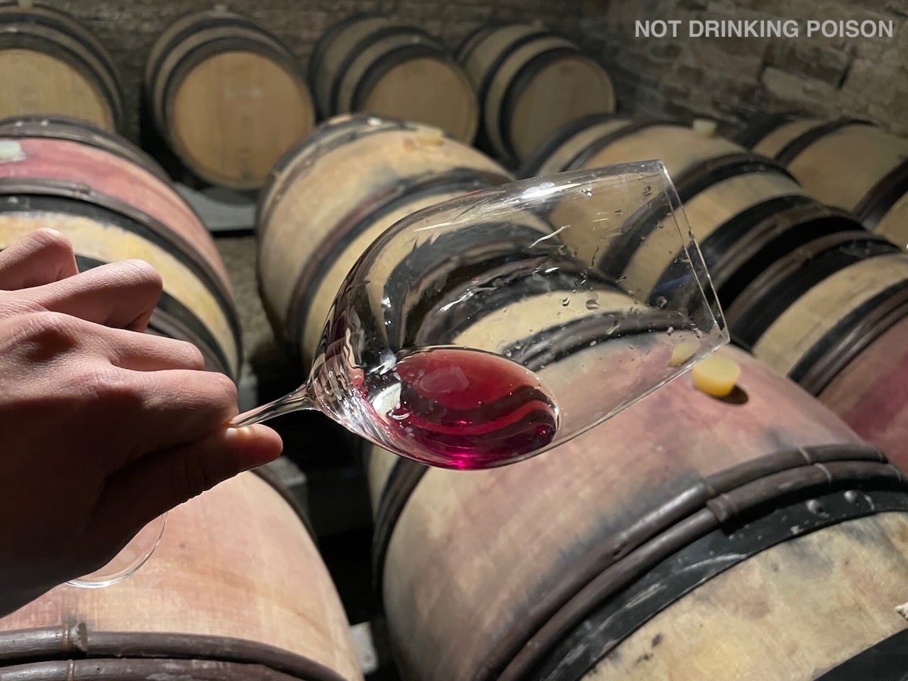 Going the Distance: Domaine de Bichery - by Aaron Ayscough