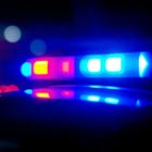 Grant Funding Helps Owen Sound Police Maintain Downtown Presence & Data Support