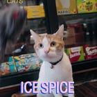 Michelladonna wants to meet your bodega cat