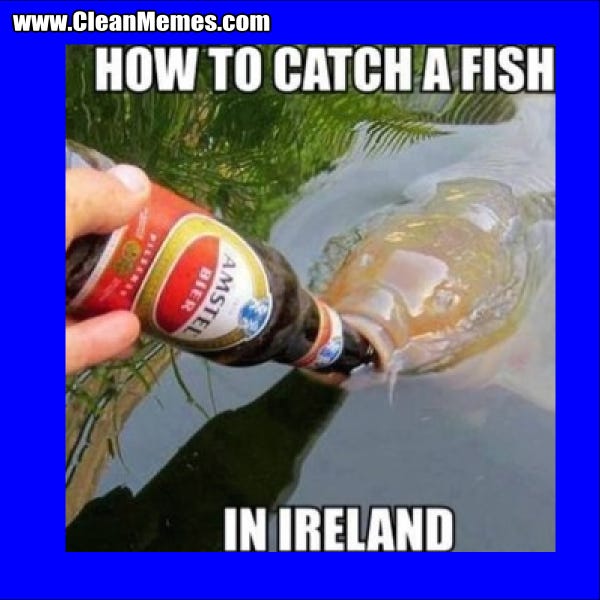 How To Catch A Fish In Ireland – Clean Memes