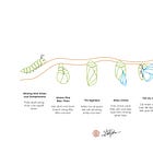 Personal Science: Tự nghiên cứu bản thân