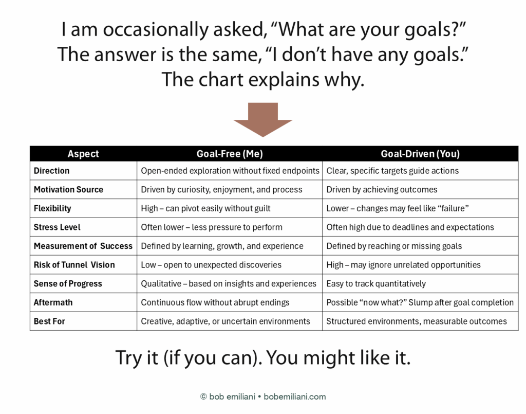 Not Goals No Goals - by Bob Emiliani